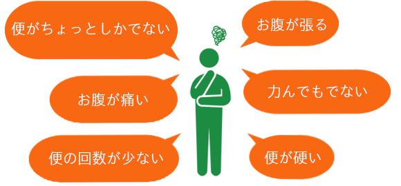 便がちょっとしかでないお腹が張るお腹が痛い力んでもでない便の回数がすくない便が硬い